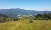 Tour Wandern Kirchberg - 2020-06-24 DW35 Au-dessus du lac Lachtelweiher - Photo 3