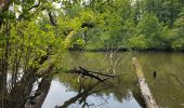 Excursión Senderismo Le Perray-en-Yvelines - Le Perray en Yvelines à Cernay la Ville - Photo 10