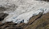 Percorso A piedi Innertkirchen - Sustenpass - Voralphütte - Photo 10