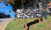 Tour Wandern Talloires-Montmin - Chalet de l'Aups depuis la Côte par Col de la Forclaz - Photo 8