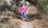 Trail Walking Zonhoven - limbourg  - Photo 9