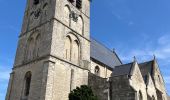 Tour Wandern Dilbeek - Brughel - Photo 6
