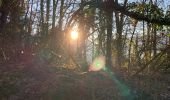 Trail  Aix-les-Bains - Corsuet chemin du Rossignol  - Photo 8