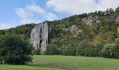 Tour Wandern Houyet - rando ornitho celles 29/09/2020 - Photo 4