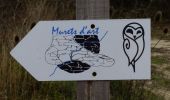 Trail Walking Saou - Saoû Lestang 6km - Photo 14
