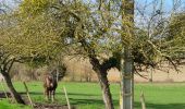 Tour Wandern Vesly - Vesly, Nainville, Le Chêne, Gisancourt, Dangu, Noyers - Photo 11