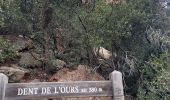 Tour Wandern Saint-Raphaël - Le pic de l'ours les grues - Photo 3