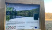 Percorso Marcia Virton - Cimetière militaire français de Laclaireau  - Photo 6