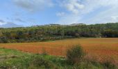 Tour Wandern Beaurecueil - Le tour du plateau du Cengle - Photo 2