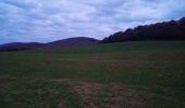 Trail Walking Marchaux-Chaudefontaine - Chaudefontaine - Photo 3