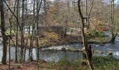 Tour Wandern Paliseul - Maissin 20,2 km - Photo 15