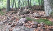 Trail Walking Newel - RÖMERPFAD - Photo 13