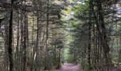 Randonnée Marche Saint-Agnan-en-Vercors - Rocher du mas (vercors) - Photo 4