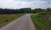 Tour Wandern Vresse-sur-Semois - Laforet 080621 - Photo 7