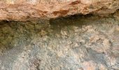 Trail Walking Minerve - Gorges de Minerve  - Photo 12