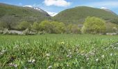 Trail On foot Barrea - Civitella Alfedena - Barrea - Photo 8