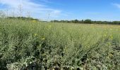 Tocht Stappen Eigenbrakel - BE-Braine-l'Alleud - BSI - Promenade du Seigneur Isaac - Photo 15