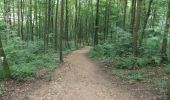 Trail On foot Larochette - Rundwanderweg L2 - Photo 4