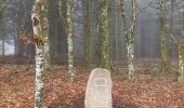 Tour Wandern La Nouaille - la boucle du Puy Riau - Photo 1