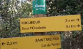 Randonnée Marche Roquedur - roquedur - Photo 4