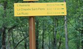Trail Walking Valloire - Valloire-La Chapelle Saint-Pierre - Photo 15