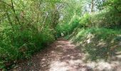 Trail Walking Seigy - Seigy - GR41 Saint-Aignan - 15.3km 250m 3h50 - 2022 08 27 - Photo 3