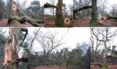 Randonnée A pied Arnhem - Deelerwoud - Groen - Photo 5