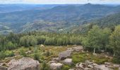 Tour Wandern Lützelhausen - Rocher de Mutzig (variante) - Photo 11