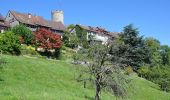 Excursión A pie Regensberg - Regensberg Bus - Niederwenigen Dorf - Photo 1