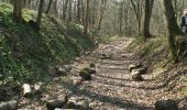 Percorso A piedi Kelmis - Rundweg Hohnbachtal - Photo 9