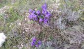 Trail Walking La Caunette - La Caunette - 17 - Photo 16