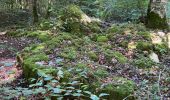 Tour Wandern Arc-en-Barrois - 52 Arc en Barrois dolmens - Photo 4