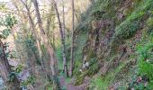 Tour Wandern Chidrac - Chidrac à Saint-Floret - Photo 4