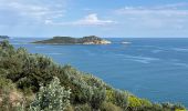Randonnée  La Croix-Valmer - La Croix Valmer - Cap Lardier - Photo 4