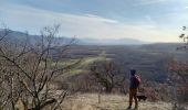 Trail Walking Varacieux - Le Molard d'Essemat- Varacieux - Photo 13