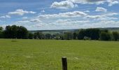 Randonnée Marche Libramont-Chevigny - Bras-Bas Carrière  - Photo 1