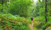 Trail Walking Viroinval - Balade à Regniessart - Viroinval - Photo 1