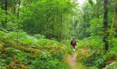 Tocht Stappen Viroinval - Balade à Regniessart - Viroinval - Photo 1