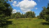 Randonnée A pied Straupitz (Spreewald) - Wanderweg Straupitz-Lübben (gelber Balken) - Photo 4