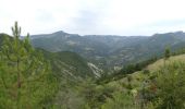 Tour Wandern Pradelle - Pradelle - Vallée de la Roanne - Photo 12