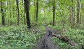 Trail Walking Herent - Winksele 16 km - Photo 10
