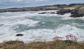 Excursión Senderismo Sauzon - Belle île les Poulains grand phare 18 mai 2022 CA  - Photo 3