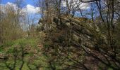 Percorso A piedi Ebersburg - Rhön-Rundweg 1 Ebersburg - Photo 1