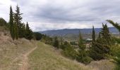 Tocht Stappen Villeneuve-de-Berg - la forêt des sens Villeneuve de Berg  - Photo 20