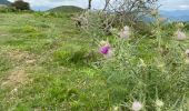 Trail Walking Jaxu - Du camping Borda Lodge - Jaxu - Photo 17