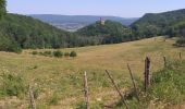 Trail Walking Montfaucon - Montfaucon : son château, ses forts - Photo 6