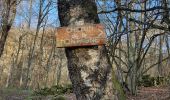 Randonnée Marche Cazenave-Serres-et-Allens - cabane du ¨Pla de Tabe version longue - Photo 2