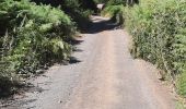 Trail Walking Chanat-la-Mouteyre - chanat route Vulcania,7.5km,155m - Photo 4