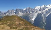Tour Wandern Les Houches - Le Merlet,Bellachat,aigulkette des Houches retour par chalets Chailloux - Photo 3