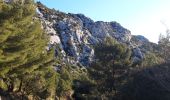 Tour Wandern La Valette-du-Var - le tour du Coudon  - Photo 3